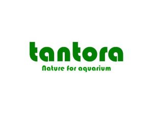 Tantora